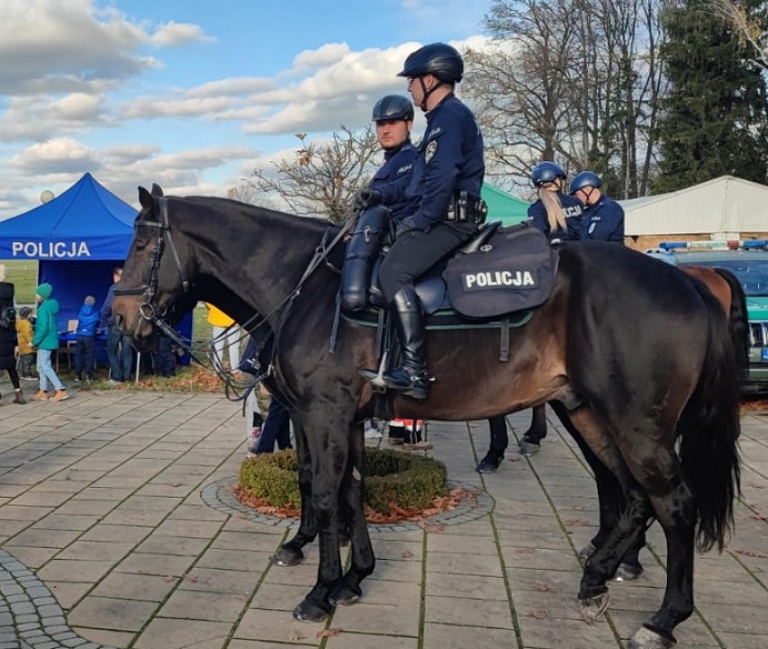 patrol konny policji