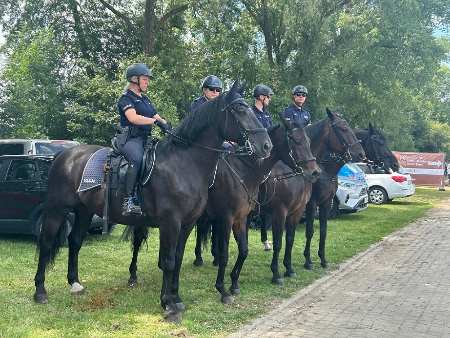 czworo policjantów na koniach