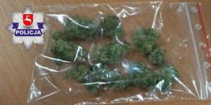 zabezpieczone narkotyki