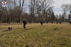policjanci podczas poszukiwań