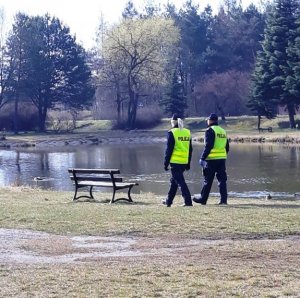 policjanci w służbie