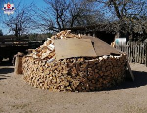 ujawnione drewno pocięte i ułożone