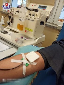 ręka osoby oddającej osocze oraz urządzenie do jego poboru