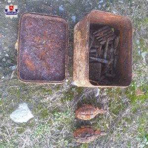 odnaleziona amunicja znajdująca się w skrzynce oraz dwa granaty ręczne