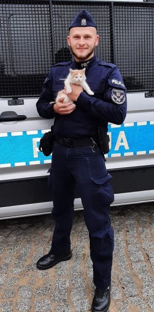 policjant trzymający kotka na rękach