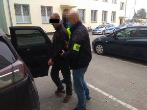 zatrzymany mężczyzna wprowadzany przez policjantów do radiowozu