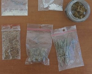 5 woreczków foliowych z zapięciem strunowym oraz szklany pojemnik z zawartością suszu i roślinnego i proszku