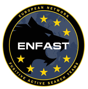 logo ENFAST