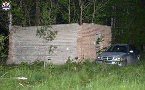 stojący samochód wśród drzew