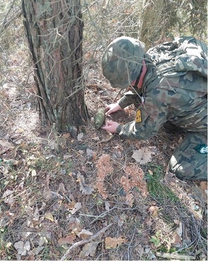 saper podnoszący niewybuch