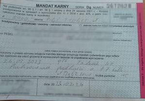 mandat karny
