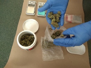 policjant na dłoni trzyma zabezpieczoną marihuanę. Poniżej inne zabezpieczone rzeczy. Marihuana w plastikowym pojemniku, wagi i woreczki