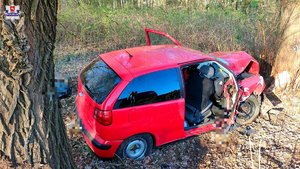 uszkodzony samochód uderzył w drzewo