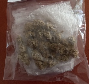 zabezpieczone narkotyki znajdujące się w woreczku foliowym