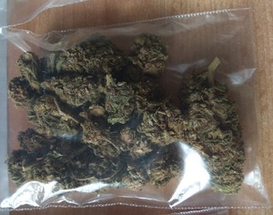 marihuana w woreczku foliowym