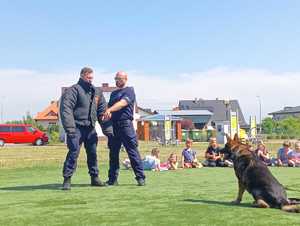 pies policyjny z policjantami