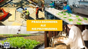 kolaż 4 zdjęć z osobami wykonującymi pracę patrząc od lewej: na budowie, w ogrodnictwie oraz w gastronomii