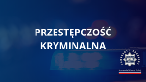 napis Przestępczość kryminalna