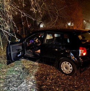 samochód stoi przy ogrodzeniu posesji.