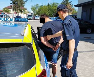 policjant wprowadza zatrzymanego do radiowozu