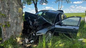 uszkodzony samochód przodem oparty o pień drzewa