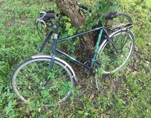 odzyskany rower oparty o drzewo