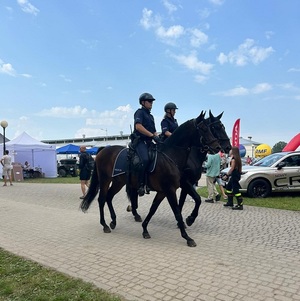 patrol konny podczas zabezpieczenia aukcji