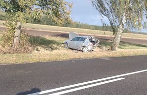 rozbity samochód na poboczu drogi