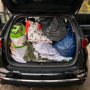 worki pełne ziela konopi w bagażniku auta