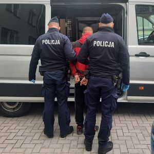 poszukiwany wprowadzany do radiowozu przez umundurowanych policjantów
