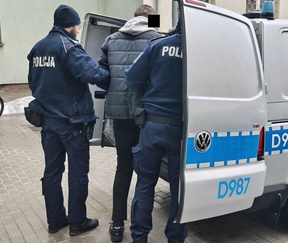 policjanci wprowadzają zatrzymanego do radiowozu