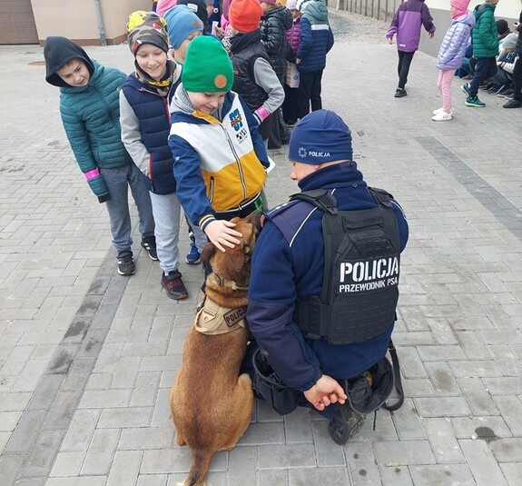 dziecko głaszcze psa służbowego