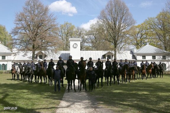 funkcjonariusze na koniach w szyku