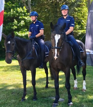 policjanci siedzą na koniach