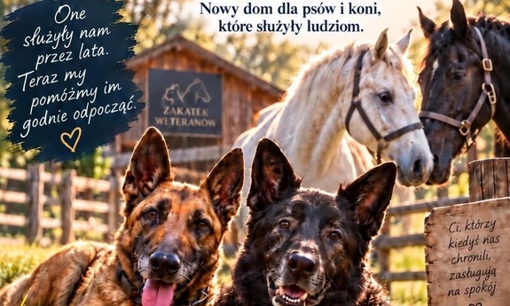 plakat promujący zbiórkę na nowy dom weteranów, przedstawia zwierzęta i prośbę o wsparcie zbiórki