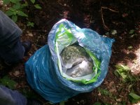 Marihuana zabezpieczona przez policjantów