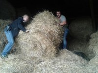 samochód ukryty pod belami słomy