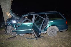 uszkodzony volkswagen, który rozbił się o drzewo