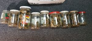 zabezpieczony susz w słoikach