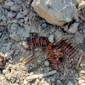 skorodowana amunicja na polu